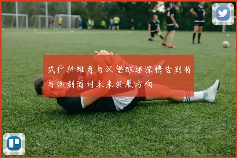 武什科维奇与汉堡球迷深情告别将与热刺商讨未来发展方向